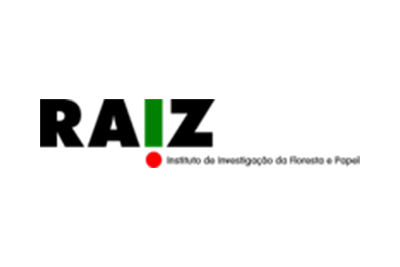 raiz